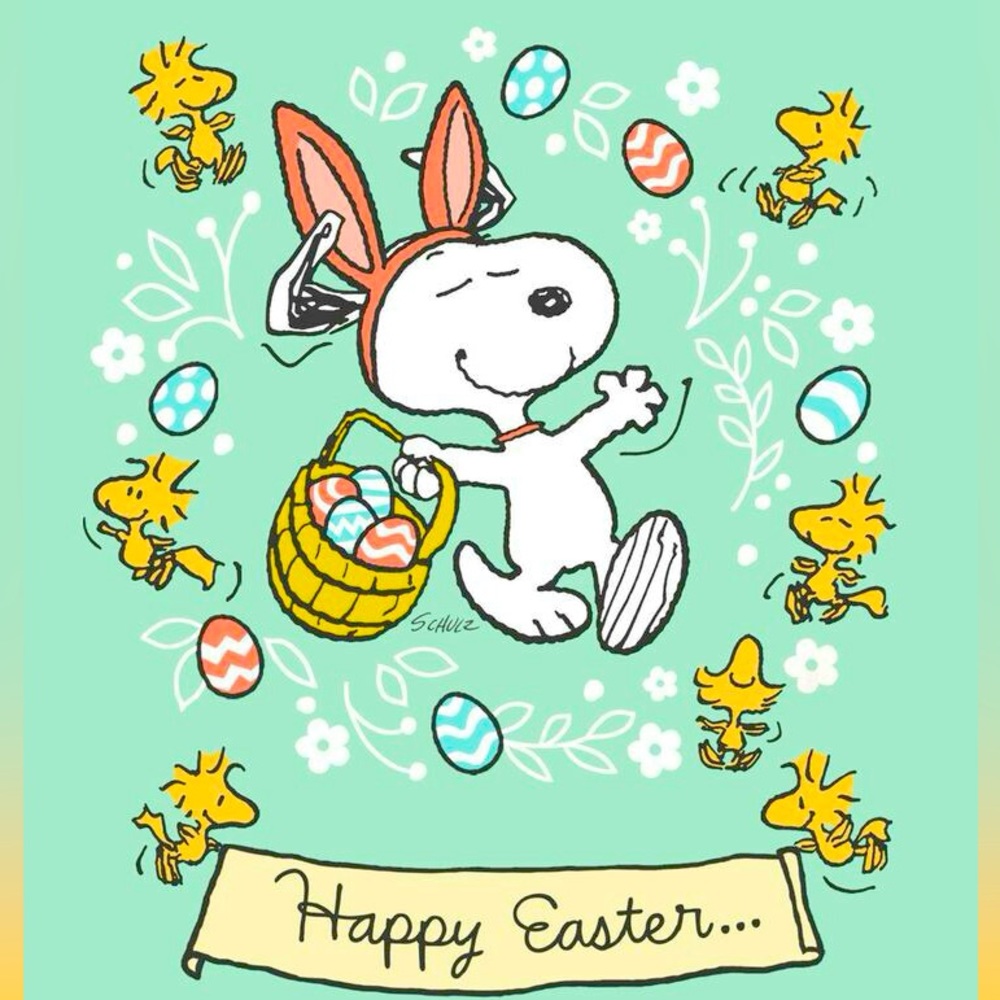 🐇🌷🐇🪻🐇